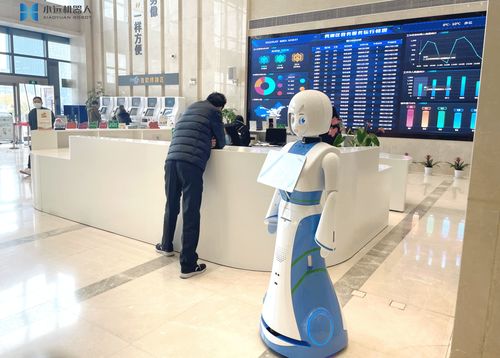 小远上岗 嘉兴秀洲政务服务中心的互联网信息服务新篇章